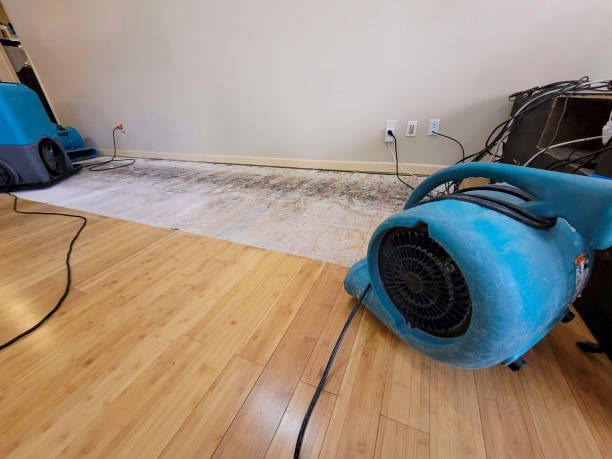 Professional Water Extraction technician working in Sherman Oaks, CA